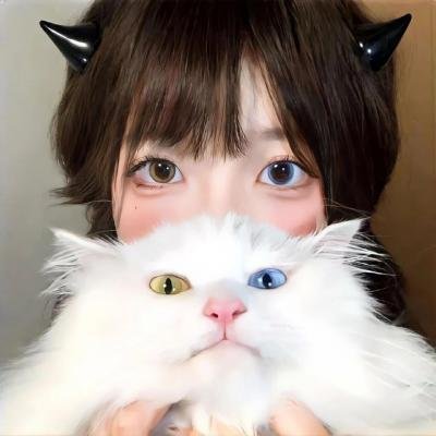 霸拳 在线观看